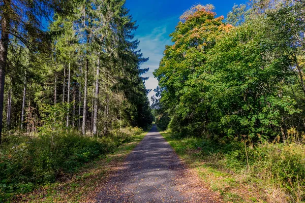 Weg Het Rhn Nationaal Park Herfstsfeer Hesse — Stockfoto