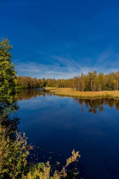 Unterwegs Nationalpark Rhein Und Seinem Herbstlichen Ambiente Hessen — Stockfoto