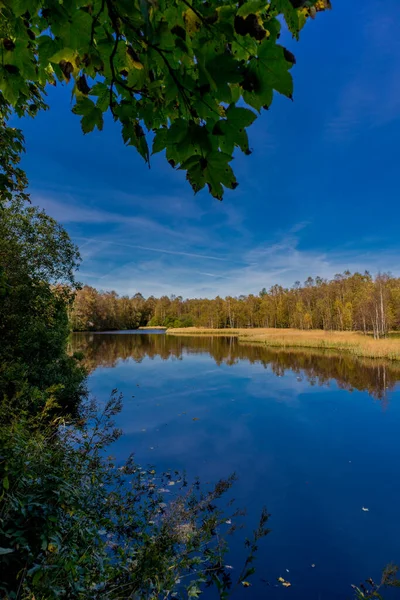 Unterwegs Nationalpark Rhein Und Seinem Herbstlichen Ambiente Hessen — Stockfoto