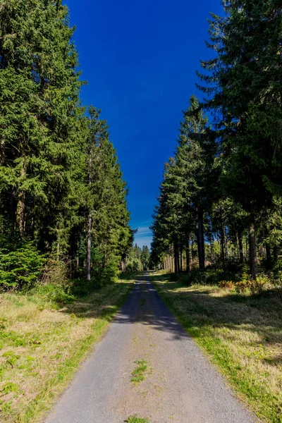 Weg Het Rhn Nationaal Park Herfstsfeer Hesse — Stockfoto