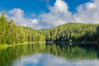 Bavyera Alpleri 'ndeki güzel Eibsee' ye yaz keşfi turu - Almanya
