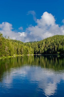Bavyera Alpleri 'ndeki güzel Eibsee' ye yaz keşfi turu - Almanya