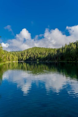 Bavyera Alpleri 'ndeki güzel Eibsee' ye yaz keşfi turu - Almanya