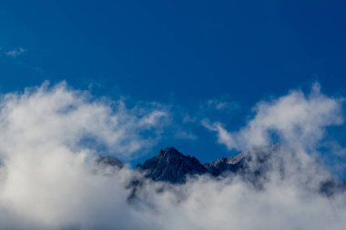 Bavyera Alpleri 'ndeki güzel Eibsee' ye yaz keşfi turu - Almanya