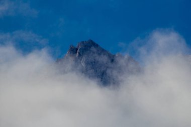 Bavyera Alpleri 'ndeki güzel Eibsee' ye yaz keşfi turu - Almanya