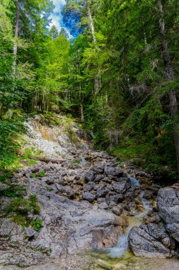 Bavyera Alpleri 'ndeki güzel Eibsee' ye yaz keşfi turu - Almanya