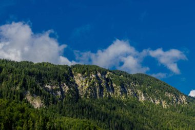Bavyera Alpleri 'ndeki güzel Eibsee' ye yaz keşfi turu - Almanya