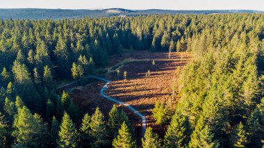 Oberhof yakınlarındaki Schtzenbergmoor 'daki Thuringian Ormanı' nın tepelerinde sonbahar yürüyüşü
