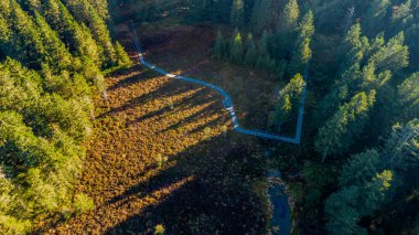 Oberhof yakınlarındaki Schtzenbergmoor 'daki Thuringian Ormanı' nın tepelerinde sonbahar yürüyüşü