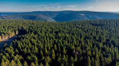 Oberhof yakınlarındaki Schtzenbergmoor 'daki Thuringian Ormanı' nın tepelerinde sonbahar yürüyüşü