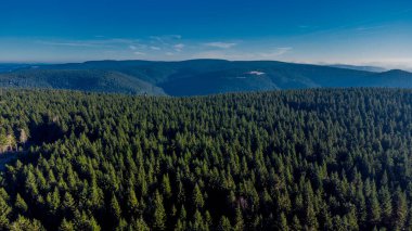 Oberhof yakınlarındaki Schtzenbergmoor 'daki Thuringian Ormanı' nın tepelerinde sonbahar yürüyüşü