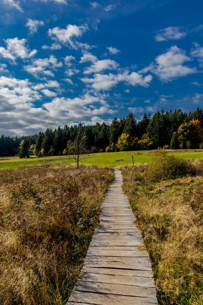 Høsten Går Gjennom Den Vakre Skogen Thuringian Forest Thuringia – stockfoto