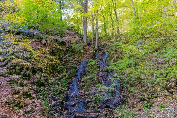 Passeio Outono Pela Bela Natureza Floresta Turíngia Turíngia — Fotografia de Stock