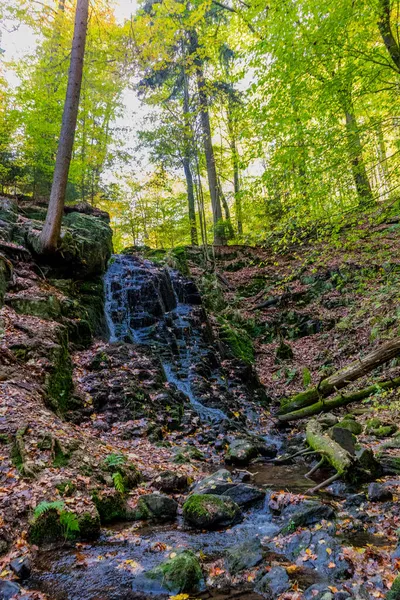 Őszi Séta Gyönyörű Természet Thüringiai Erdő Türingia — Stock Fotó