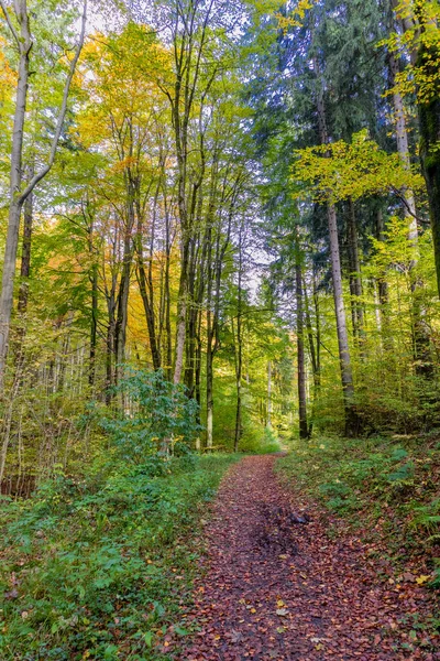 Thüringen Ormanı Nın Güzel Doğasında Sonbahar Yürüyüşü — Stok fotoğraf
