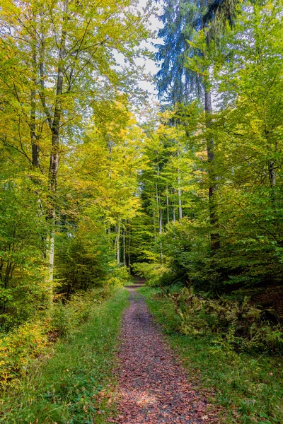 Autumn Walk Beautiful Nature Thuringian Forest Thuringia — Stock Photo, Image
