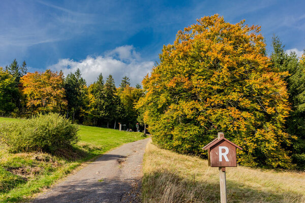 Autumn walk through the beautiful nature of the Thuringian Forest - Thuringia