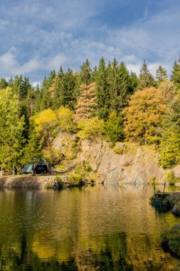 Thüringen Ormanı 'nın güzel doğasında sonbahar yürüyüşü