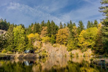 Thüringen Ormanı 'nın güzel doğasında sonbahar yürüyüşü