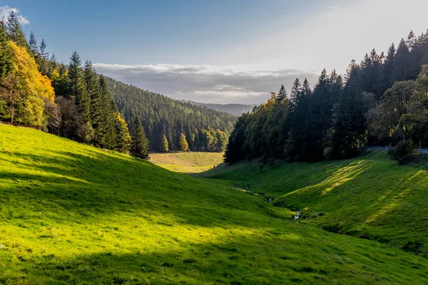 Осінь Проходить Прекрасній Природі Туринзького Лісу Тюрингії — стокове фото