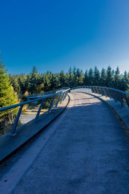 Oberhof yakınlarındaki Schtzenbergmoor 'daki Thuringian Ormanı' nın tepelerinde sonbahar yürüyüşü