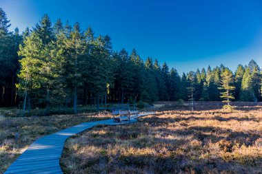 Oberhof yakınlarındaki Schtzenbergmoor 'daki Thuringian Ormanı' nın tepelerinde sonbahar yürüyüşü