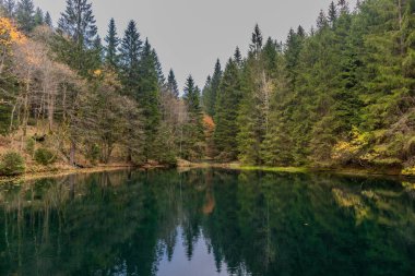 Oberhof yakınlarındaki Schtzenbergmoor 'daki Thuringian Ormanı' nın tepelerinde sonbahar yürüyüşü