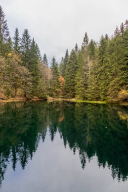 Oberhof yakınlarındaki Schtzenbergmoor 'daki Thuringian Ormanı' nın tepelerinde sonbahar yürüyüşü