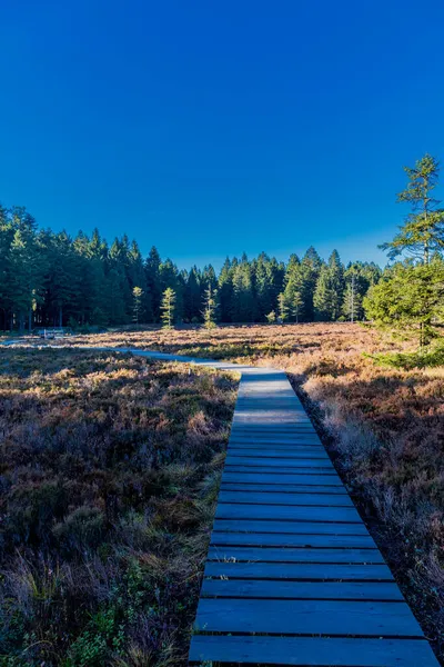 Promenade Automnale Sur Les Hauteurs Forêt Thuringienne Schtzenbergmoor Près Oberhof — Photo