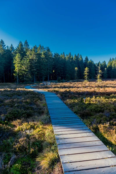 Promenade Automnale Sur Les Hauteurs Forêt Thuringienne Schtzenbergmoor Près Oberhof — Photo