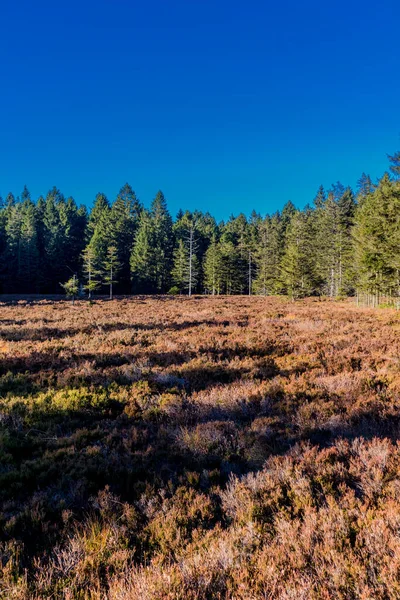 오베르 튀링겐 근처에 베르그 무어에 튀링겐 지대에서 가을걷기 — 스톡 사진