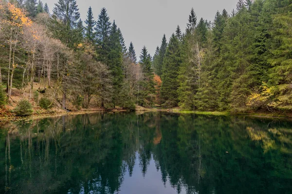 Passeggiata Autunnale Sulle Alture Della Foresta Turingia Schtzenbergmoor Vicino Oberhof — Foto Stock