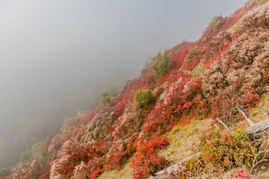 Jena-Thuringia 'daki Saale Horizontale boyunca rahat sonbahar yürüyüşü