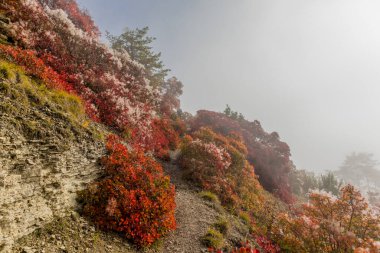Jena-Thuringia 'daki Saale Horizontale boyunca rahat sonbahar yürüyüşü