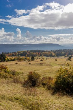 Jena-Thuringia 'daki Saale Horizontale boyunca rahat sonbahar yürüyüşü