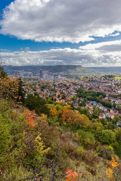 Relaksujący Jesienny Spacer Wzdłuż Saale Horizontale Jena Turyngia — Zdjęcie stockowe