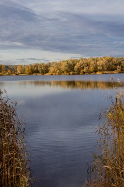 Immelborn-Thüringen yakınlarındaki banyoda sonbahar yürüyüşü