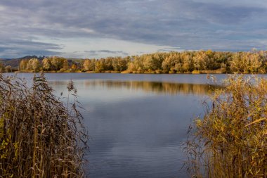 Immelborn-Thüringen yakınlarındaki banyoda sonbahar yürüyüşü