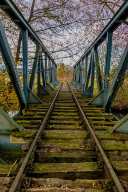 Immelborn-Thüringen yakınlarındaki banyoda sonbahar yürüyüşü