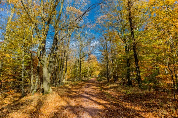 Thüringen Ormanı Nın Kıyısındaki Wartburg Kasabası Eisenach Etrafında Sonbahar Yürüyüşü — Stok fotoğraf