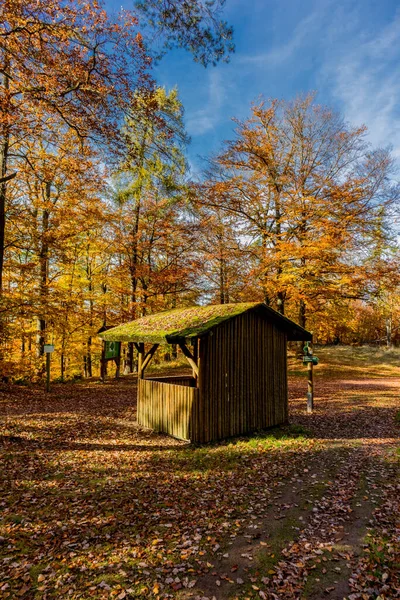 Jesienny Spacer Mieście Wartburg Eisenach Skraju Lasu Turyngii Turyngia — Zdjęcie stockowe