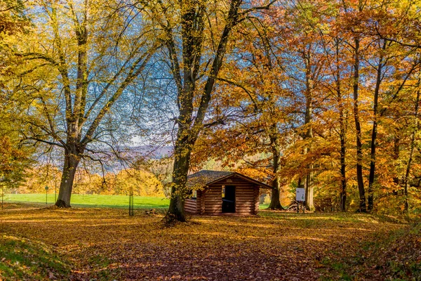 Podzimní Procházka Kolem Města Wartburg Eisenach Okraji Durynského Lesa Durynsko — Stock fotografie