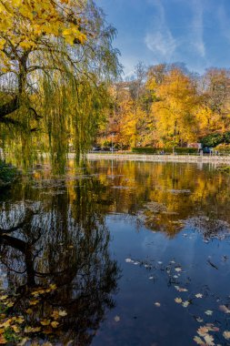 Thüringen Ormanı 'nın kıyısındaki Wartburg kasabası Eisenach' ın etrafında sonbahar yürüyüşü