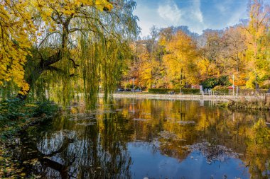 Thüringen Ormanı 'nın kıyısındaki Wartburg kasabası Eisenach' ın etrafında sonbahar yürüyüşü
