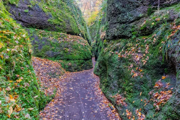 チューリンゲンの森の端にあるアイゼナハのワーツバーグ町を秋の散歩 テューリンゲン州 — ストック写真