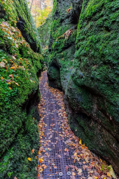 Hösten Promenad Runt Wartburg Staden Eisenach Utkanten Thüringen Thüringen — Stockfoto