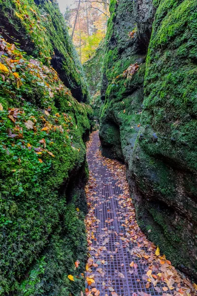 Promenade Automnale Autour Ville Wartburg Eisenach Lisière Forêt Thuringe Thuringe — Photo