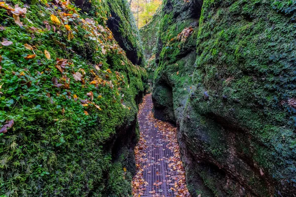 チューリンゲンの森の端にあるアイゼナハのワーツバーグ町を秋の散歩 テューリンゲン州 — ストック写真