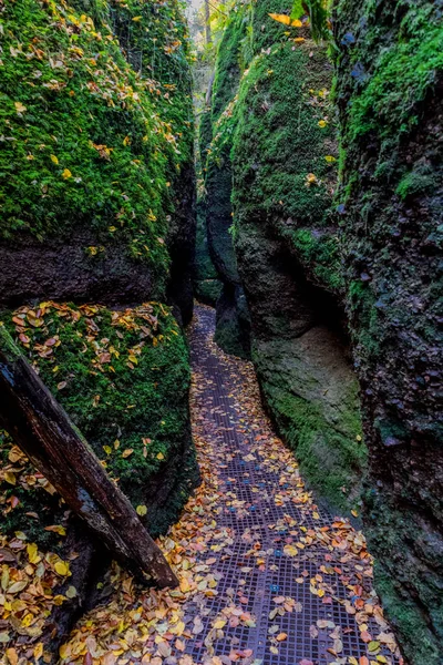 Podzimní Procházka Kolem Města Wartburg Eisenach Okraji Durynského Lesa Durynsko — Stock fotografie