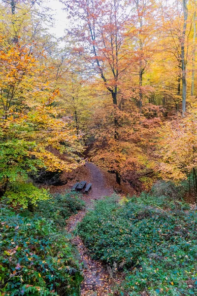 Herbstwanderung Rund Die Wartburgstadt Eisenach Rande Des Thüringer Waldes Thüringen — Stockfoto